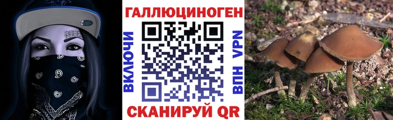 наркотики  Мезень  Псилоцибиновые грибы мицелий 