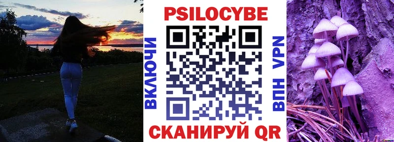 Галлюциногенные грибы Psilocybine cubensis Мезень